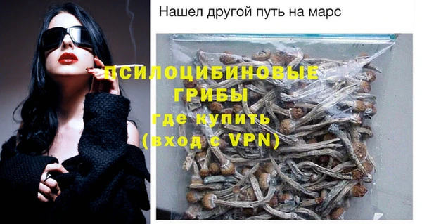МДПВ Алзамай