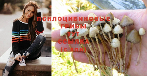 ГАЛЛЮЦИНОГЕННЫЕ ГРИБЫ Алексеевка